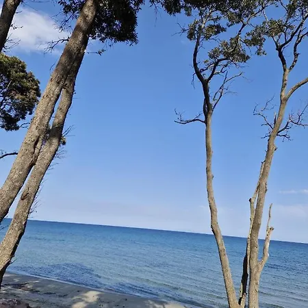 La Salamandre Bleutee - Maison A 1km De La Santa-Maria-Poggio (Corsica)